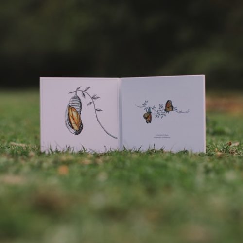 interior del disco con ilustraciones